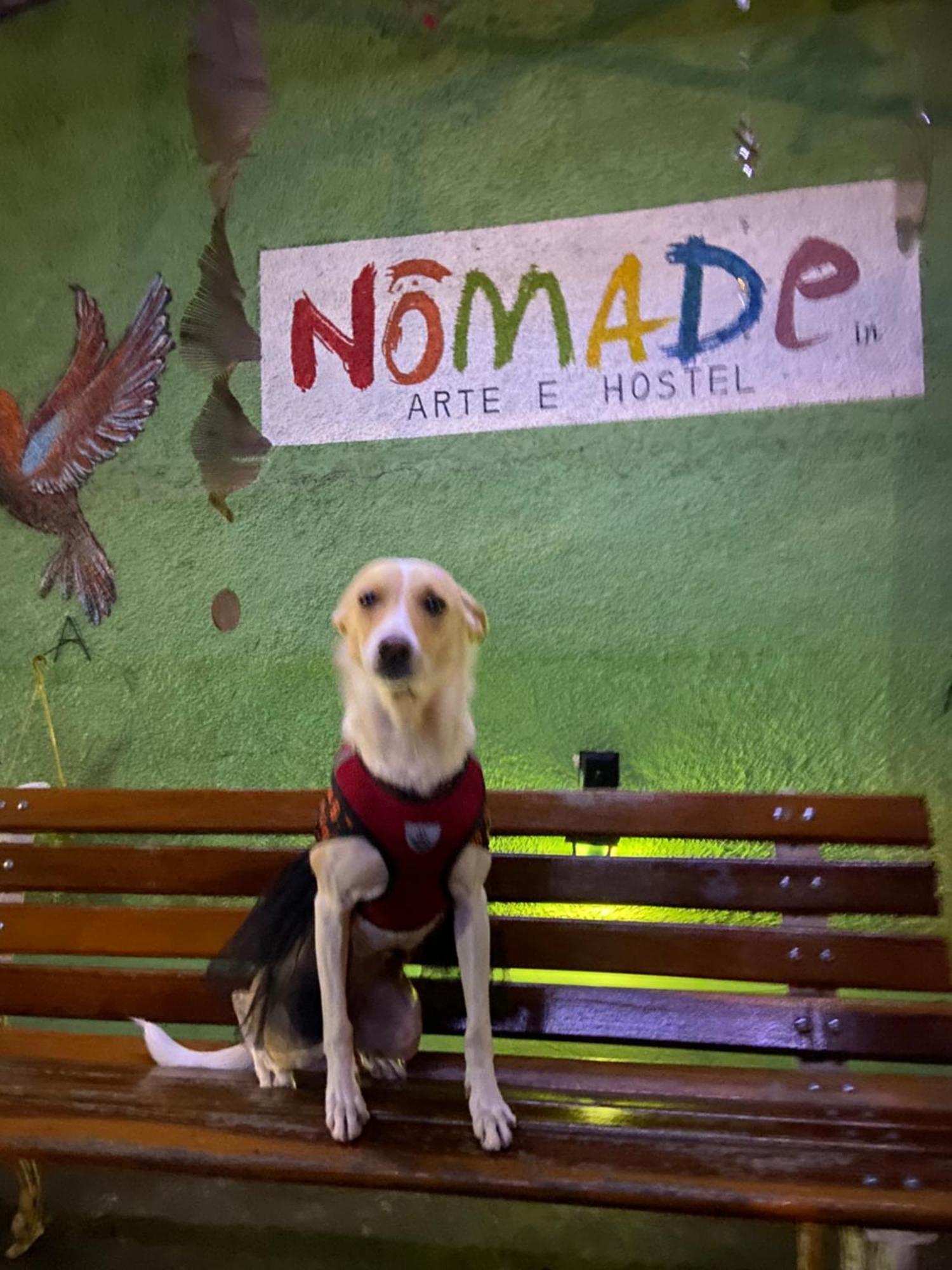 Nomade In Arte E Hostel São Paulo Zewnętrze zdjęcie
