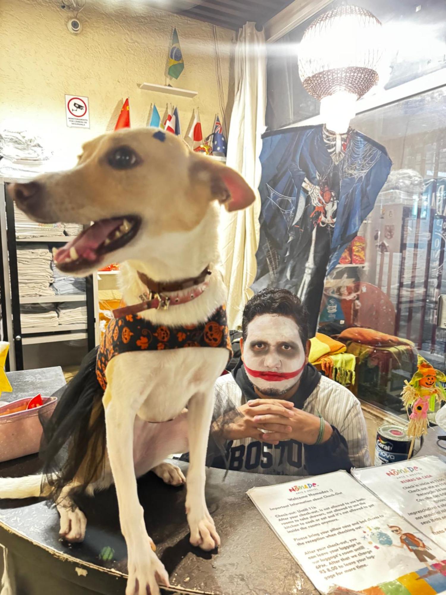 Nomade In Arte E Hostel São Paulo Zewnętrze zdjęcie